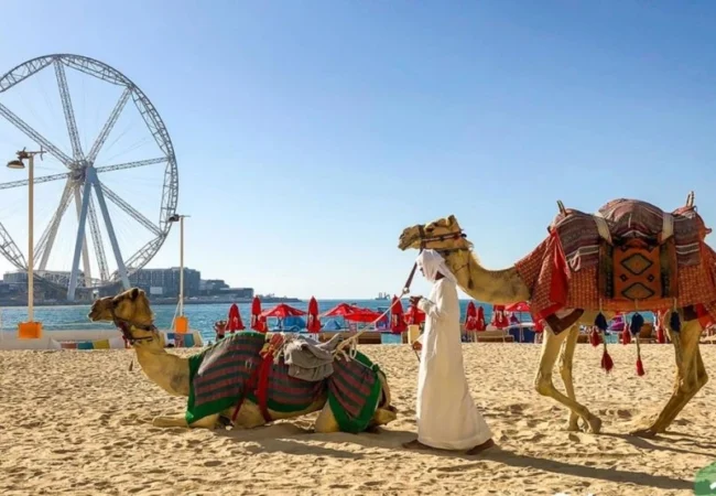 Camel ride along JBR beach in Dubai with the skyline behind