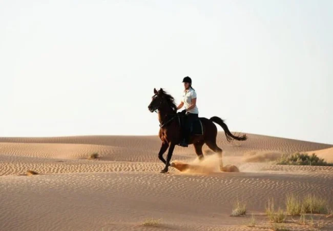 Guided horse riding trail through the desert outside Dubai